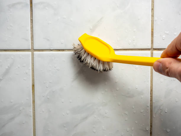 Best Mold Removal Company Near Me  in Moncks Corner, SC